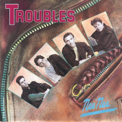 Troubles - Nee Nee Vinyl Singles Vinyl Zeer Goed / Hoesje Goed "VINYLSINGLES.NL"