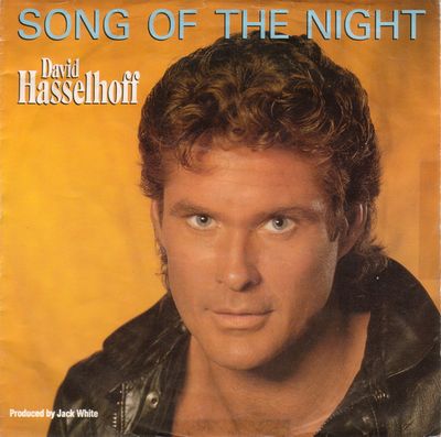 David Hasselhoff - Song Of The Night Vinyl Singles Media VG+ / Sleeve G+