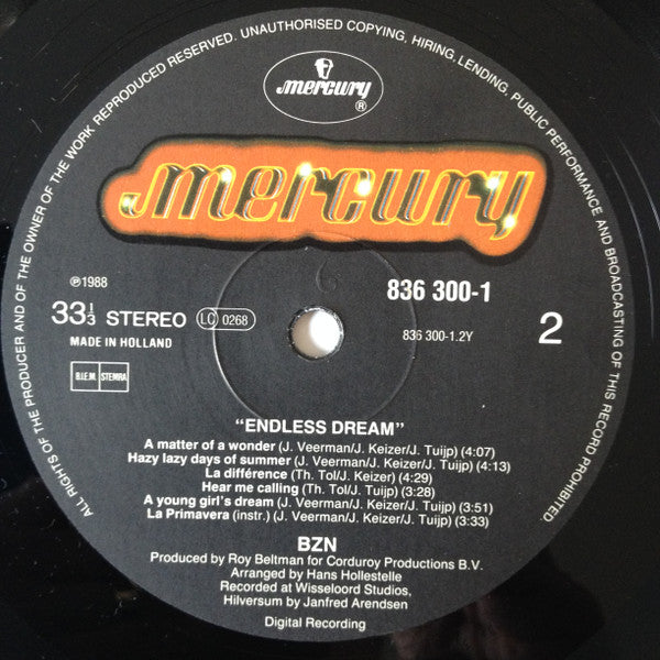 BZN - Endless Dream (LP) Vinyl LP Vinyl Very Good (VG) <br> Hoes Good Plus (G+)