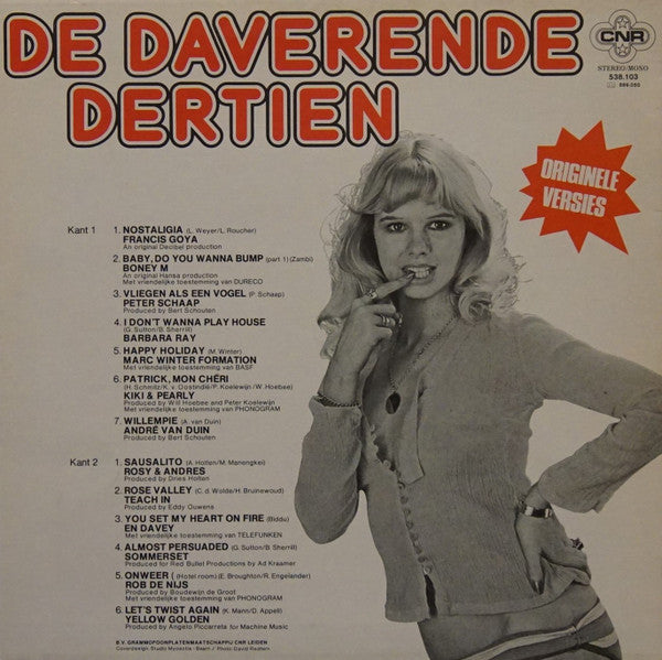 Various - De Daverende Dertien (LP) Vinyl LP Vinyl Very Good (VG) <br> Hoes Good Plus (G+)