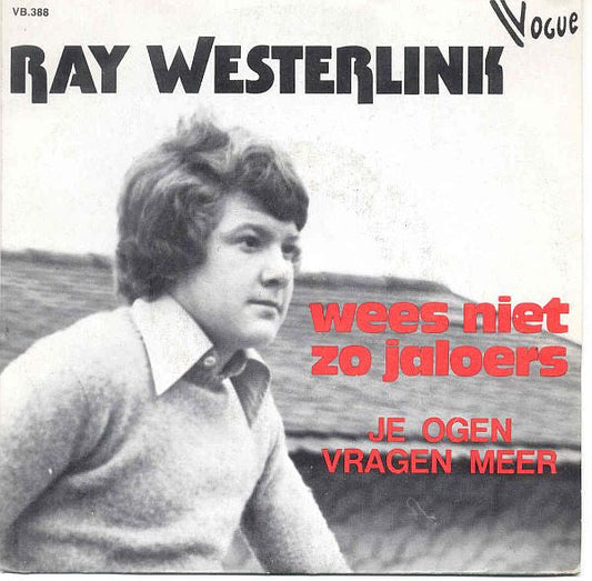 Ray Westerlink - Wees Niet Zo Jaloers (B) 36671 Vinyl Singles Hoes: Redelijk