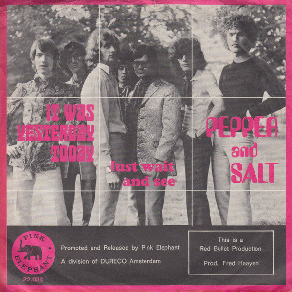 Pepper & Salt - It Was Yesterday Today Vinyl Singles Vinyl Very Good (VG) <br> Hoes Good Plus (G+)