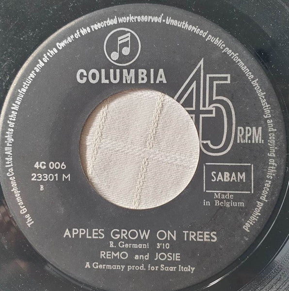 Remo & Josie - In This World We Live In Vinyl Singles Vinyl Very Good (VG) <br> Hoes Generic