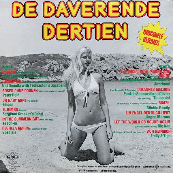 Various - De Daverende Dertien (LP) Vinyl LP Vinyl Very Good (VG) <br> Hoes Good Plus (G+)