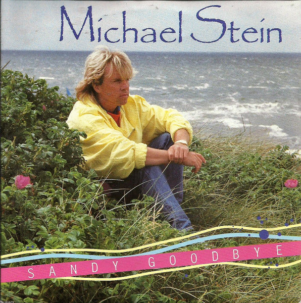 Michael Stein - Sandy Goodbye 40971 Vinyl Singles Vinyl Very Good (VG) <br> Hoes Good Plus (G+)
