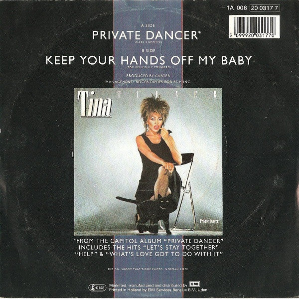 Tina Turner - Private Dancer Vinyl Singles Vinyl Very Good (VG) <br> Hoes Good Plus (G+)