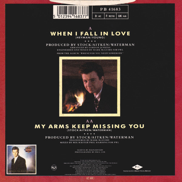 Rick Astley - When I Fall In Love Vinyl Singles Vinyl Zeer Goed / Hoesje Goed "VINYLSINGLES.NL"