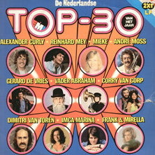Various - De Nederlandse Top 30 Van Het Jaar (LP)