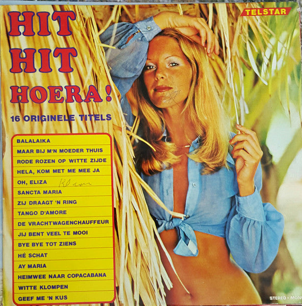 Various - Hit Hit Hoera! (LP) Vinyl LP Vinyl Very Good (VG) <br> Hoes Good Plus (G+)
