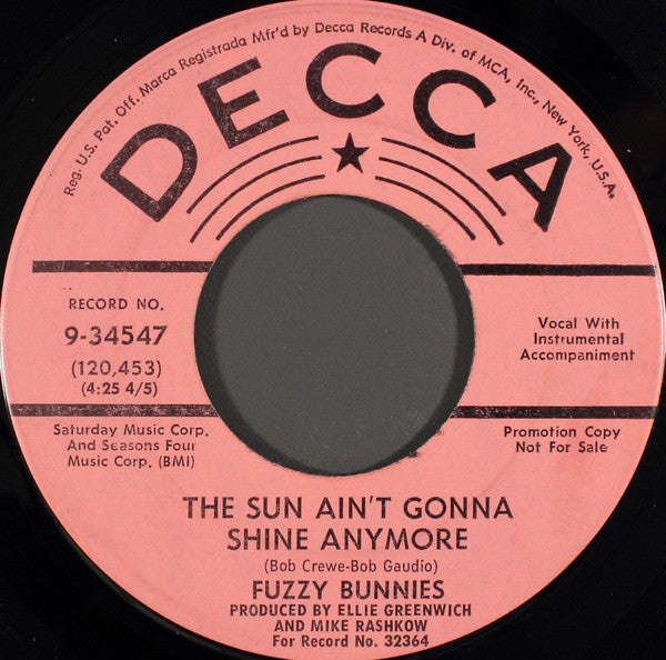 Fuzzy Bunnies - The Sun Ain't Gonna Shine Anymore Vinyl Singles Vinyl Very Good (VG) <br> Hoes Generic
