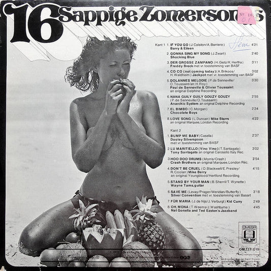 Various - 16 Sappige Zomersongs (LP) Vinyl LP Vinyl Zeer Goed / Hoesje Goed "VINYLSINGLES.NL"