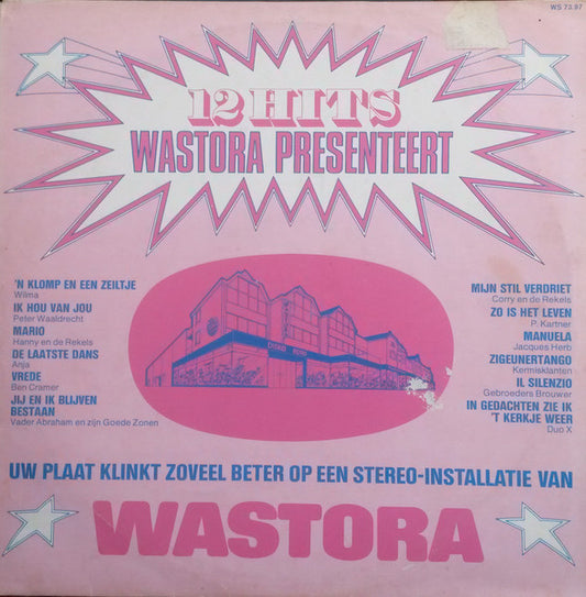 Various - 12 Hits (Wastora Presenteert) (LP) 49931 Vinyl LP Goede Staat