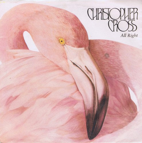 Christopher Cross - All Right 41165 Vinyl Singles Vinyl Very Good (VG) <br> Hoes Good Plus (G+)