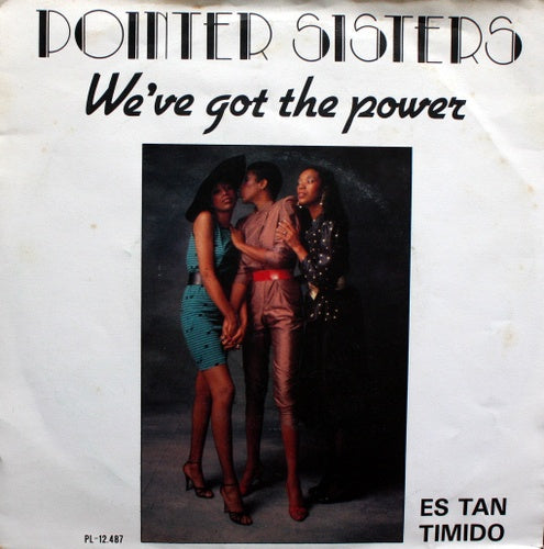 Pointer Sisters - We've Got The Power Vinyl Singles Vinyl Very Good (VG) <br> Hoes Good Plus (G+)