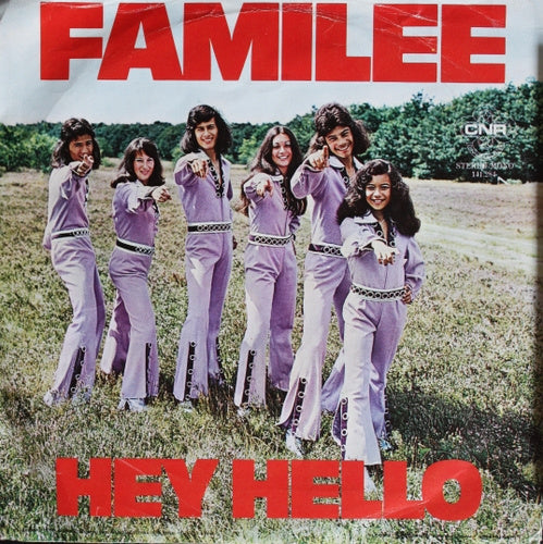 Familee - Do We Love Each Other Enough Vinyl Singles Vinyl Very Good (VG) <br> Hoes Good Plus (G+)