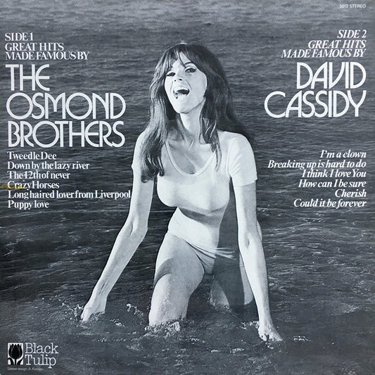 Unknown Artist - Great Hits Made Famous By The Osmond Brothers, David Cassidy (LP)