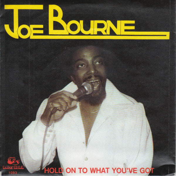 Joe Bourne - Hold On To What You've Got Vinyl Singles