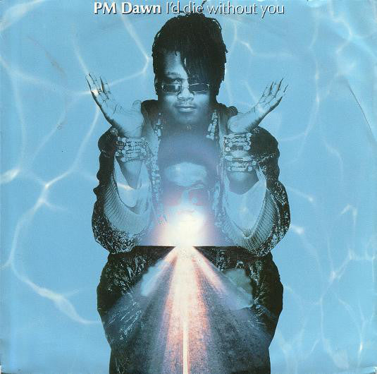 P.M. Dawn - I'd Die Without You Vinyl Singles