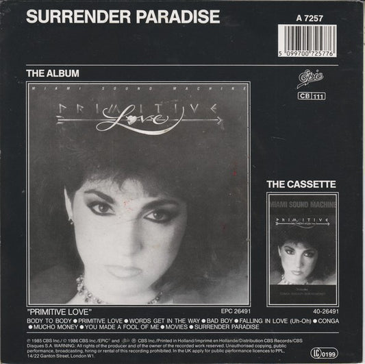 Miami Sound Machine - Falling In Love 32801