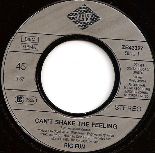 Big Fun - Can't Shake The Feeling