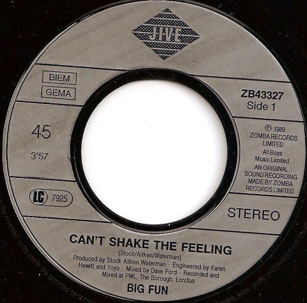 Big Fun - Can't Shake The Feeling Vinyl Singles