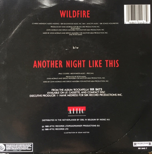 Nylons - Wildfire 21946 Vinyl Singles Vinyl Very Good (VG) <br> Hoes Good Plus (G+)