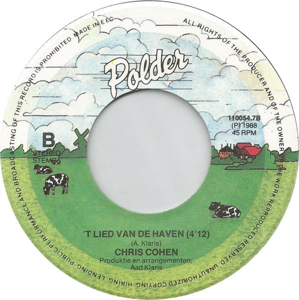 Chris Cohen - In Die Mooie Zomernacht Vinyl Singles Vinyl Very Good (VG) <br> Hoes Good Plus (G+)