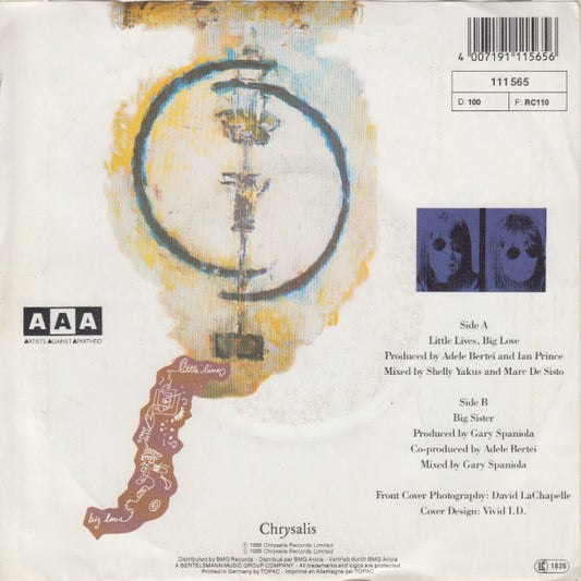 Adele Bertei - Little Lives, Big Love Vinyl Singles Vinyl Zeer Goed / Hoesje Goed "VINYLSINGLES.NL"