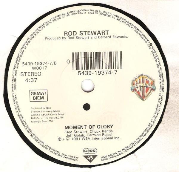 Rod Stewart - Rhythm Of My Heart Vinyl Singles