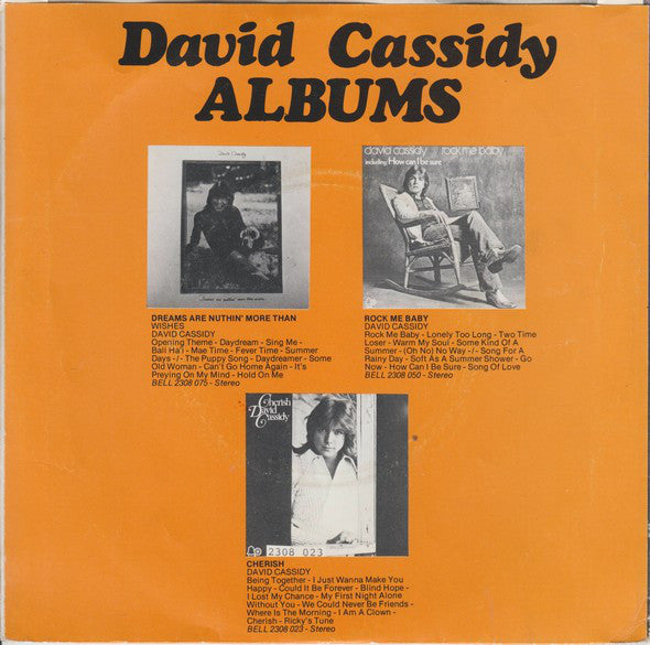 David Cassidy - If I Didn't Care Vinyl Singles Vinyl Very Good (VG) <br> Hoes Good Plus (G+)