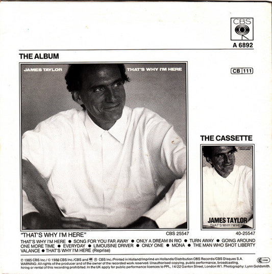 James Taylor - Only One