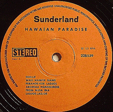 Hawaian Minstrels - Hawaian Paradise (LP)
