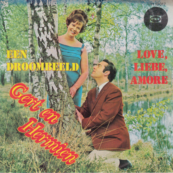 Gert & Hermien - Een Droombeeld 42794 Vinyl Singles Vinyl Very Good (VG) <br> Hoes Good Plus (G+)
