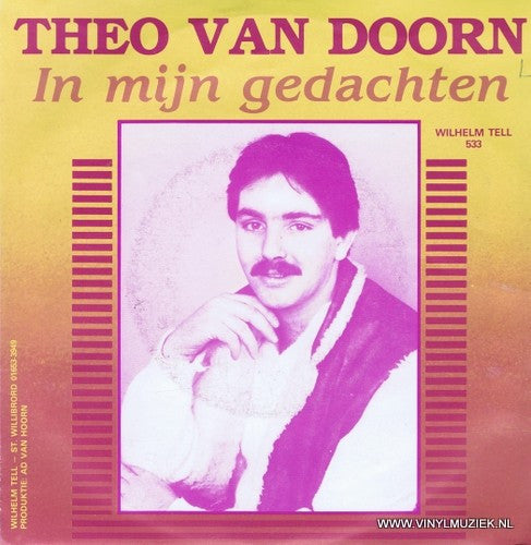 Theo van Doorn - Je Oudershuis 33477 Vinyl Singles Vinyl Very Good (VG) <br> Hoes Good Plus (G+)