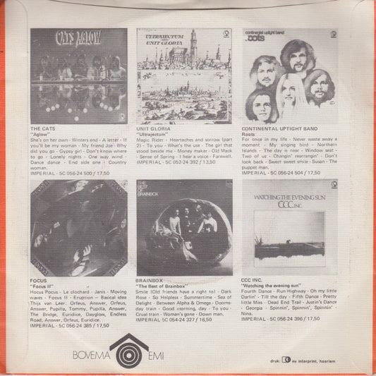 Mayflower - Rainsun Song Vinyl Singles Vinyl (G) <br> Hoes (F) "VINYLSINGLES.NL"