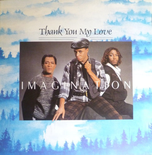 Imagination - Thank You My Love 31277 Vinyl Singles VINYLSINGLES.NL