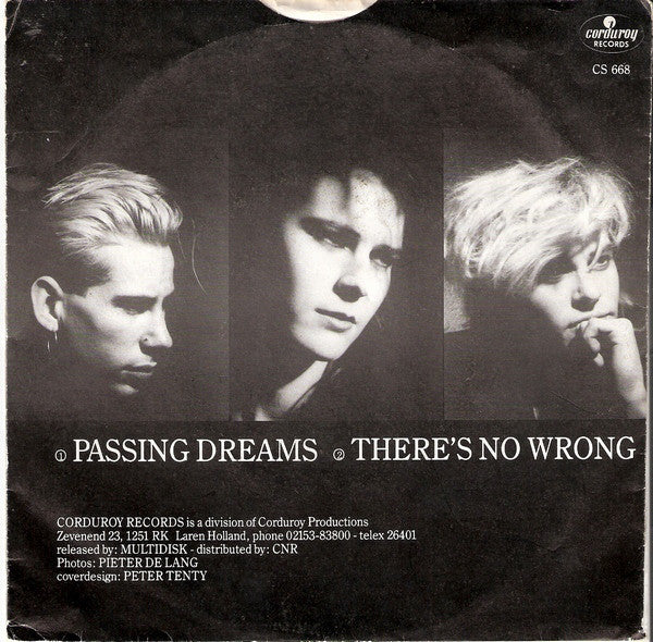 Viva Voce - Passing Dreams 22666 Vinyl Singles Vinyl Very Good (VG) <br> Hoes Good Plus (G+)