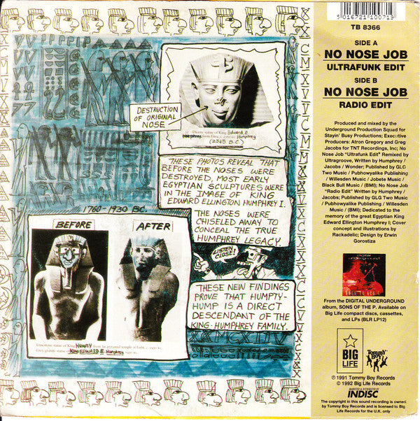 Digital Underground - No Nose Job Vinyl Singles