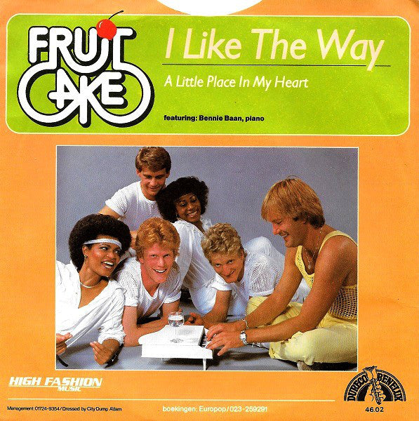 Fruitcake - I Like The Way 24617 Vinyl Singles Vinyl Very Good (VG) <br> Hoes Good Plus (G+)