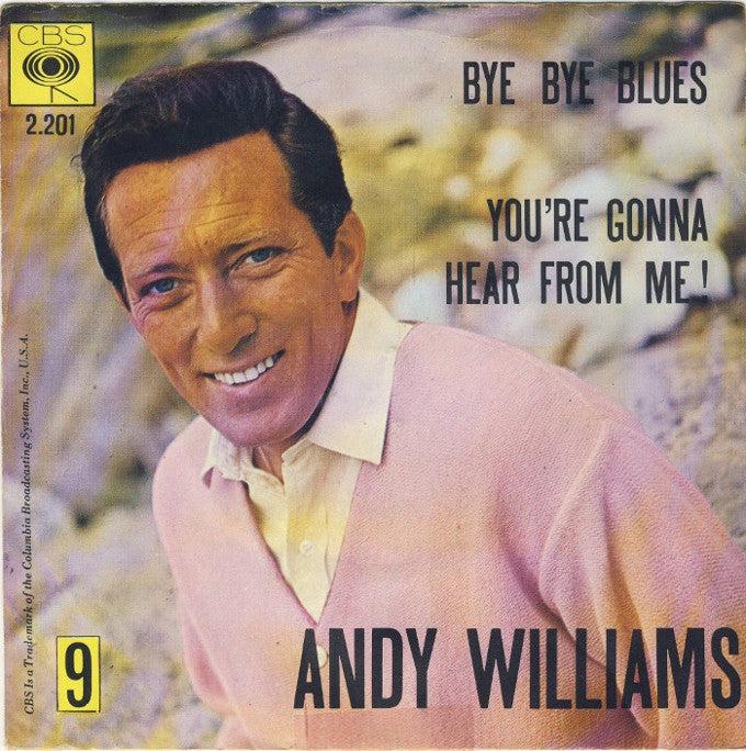 Andy Williams - Bye Bye Blues Vinyl Singles Vinyl Very Good (VG) <br> Hoes Good Plus (G+)