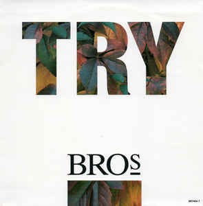 Bros - Try Vinyl Singles Vinyl Very Good (VG) <br> Hoes Good Plus (G+)