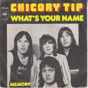 Chicory Tip - What's Your Name Vinyl Singles Vinyl Very Good (VG) <br> Hoes Good Plus (G+)