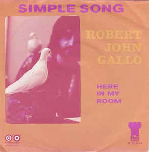 Robert John Gallo - Simple Song Vinyl Singles Vinyl Very Good (VG) <br> Hoes Good Plus (G+)