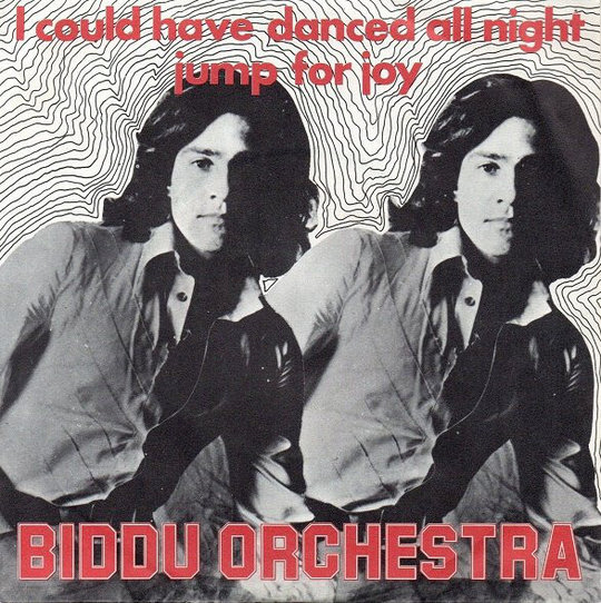 Biddu Orchestra - I Could Have Danced All Night Vinyl Singles Vinyl Very Good (VG) <br> Hoes Good Plus (G+)