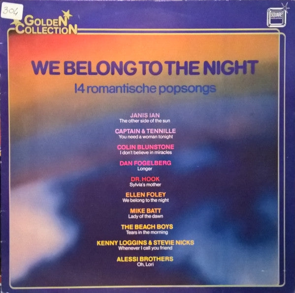 Various - We Belong To The Night (LP) Vinyl LP Vinyl Very Good (VG) <br> Hoes Good Plus (G+)