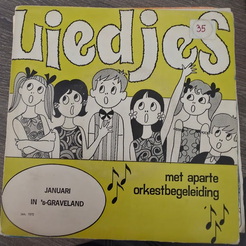 Benny Vrede - Januari in 's-Graveland