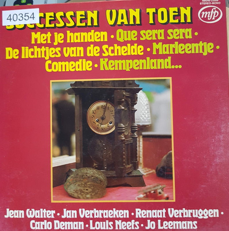 Various - Successen Van Toen (LP)  40354 Vinyl LP Goede Staat