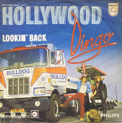 Dingo - Hollywood