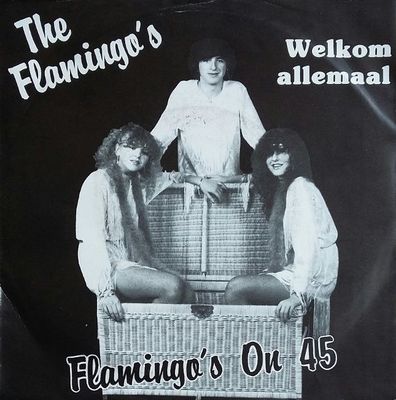 Flamingo's - Welkom Allemaal