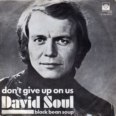 David Soul - Don't Give Up On Us Vinyl Singles Vinyl Zeer Goed / Hoesje Goed "VINYLSINGLES.NL"